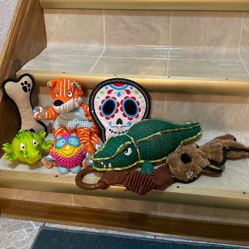 Bundle of Preloved Dog Toys